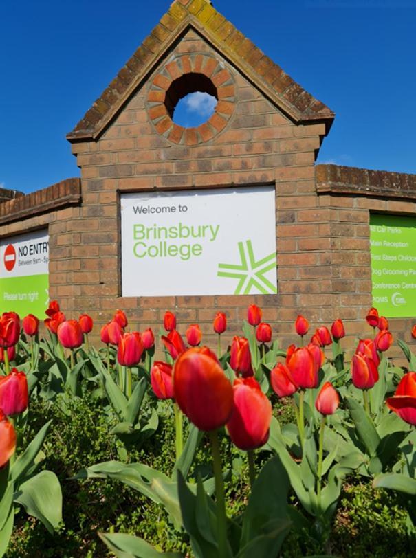 Bramley Guest Rooms Pulborough Zewnętrze zdjęcie